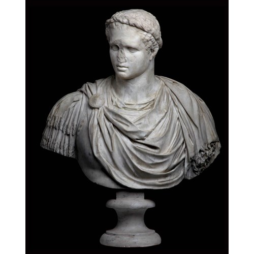 Bust of a Young Hercules